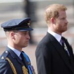 harry e william risposta sconcertante