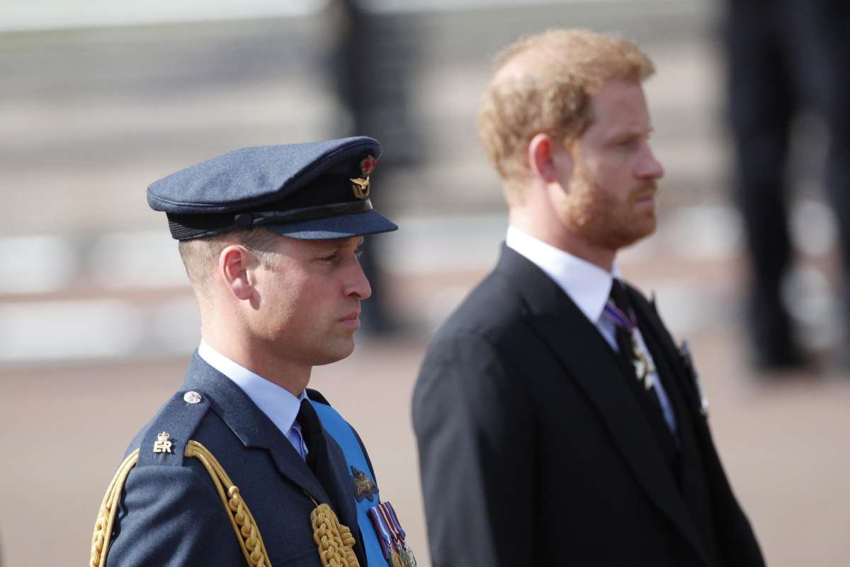 harry e william risposta sconcertante